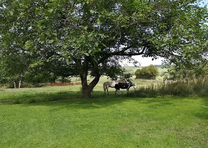 Chez Amand Holiday home